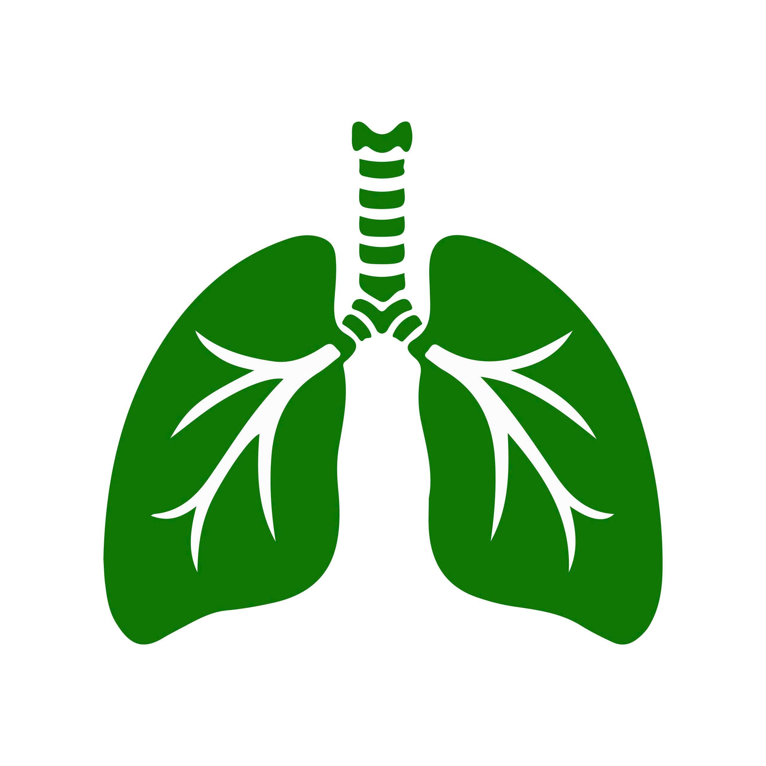 category image